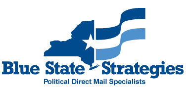 Blue State Strategies logo